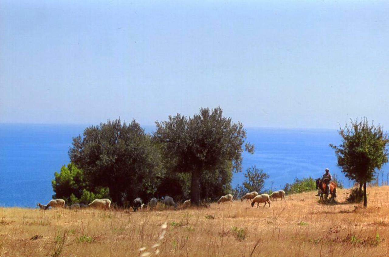 Villa Grassetti Montegiordano Exterior foto