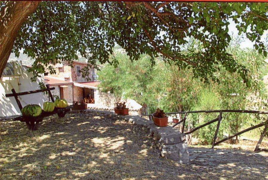 Villa Grassetti Montegiordano Exterior foto